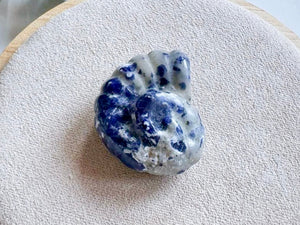 Mini Spiral Shell Crystal Carving