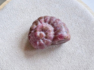 Mini Spiral Shell Crystal Carving