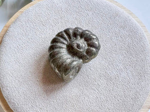 Mini Spiral Shell Crystal Carving