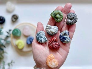 Mini Spiral Shell Crystal Carving