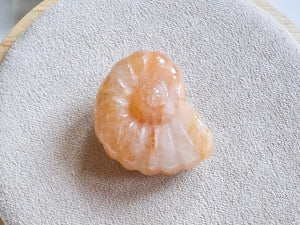 Mini Spiral Shell Crystal Carving