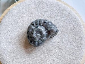 Mini Spiral Shell Crystal Carving