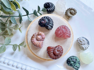 Mini Spiral Shell Crystal Carving