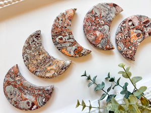Money Agate Crescent Moon