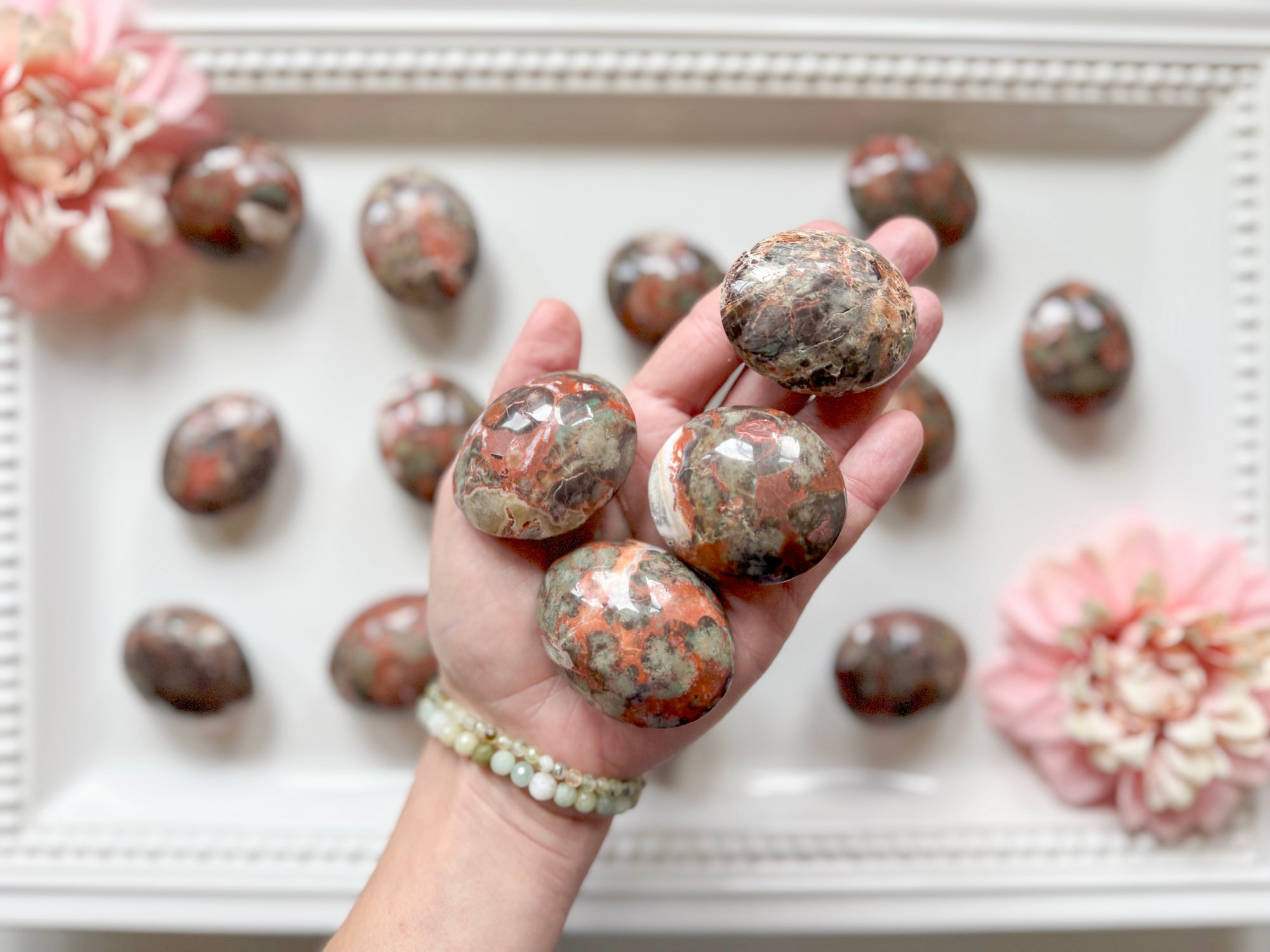 Money Agate Palm Stone