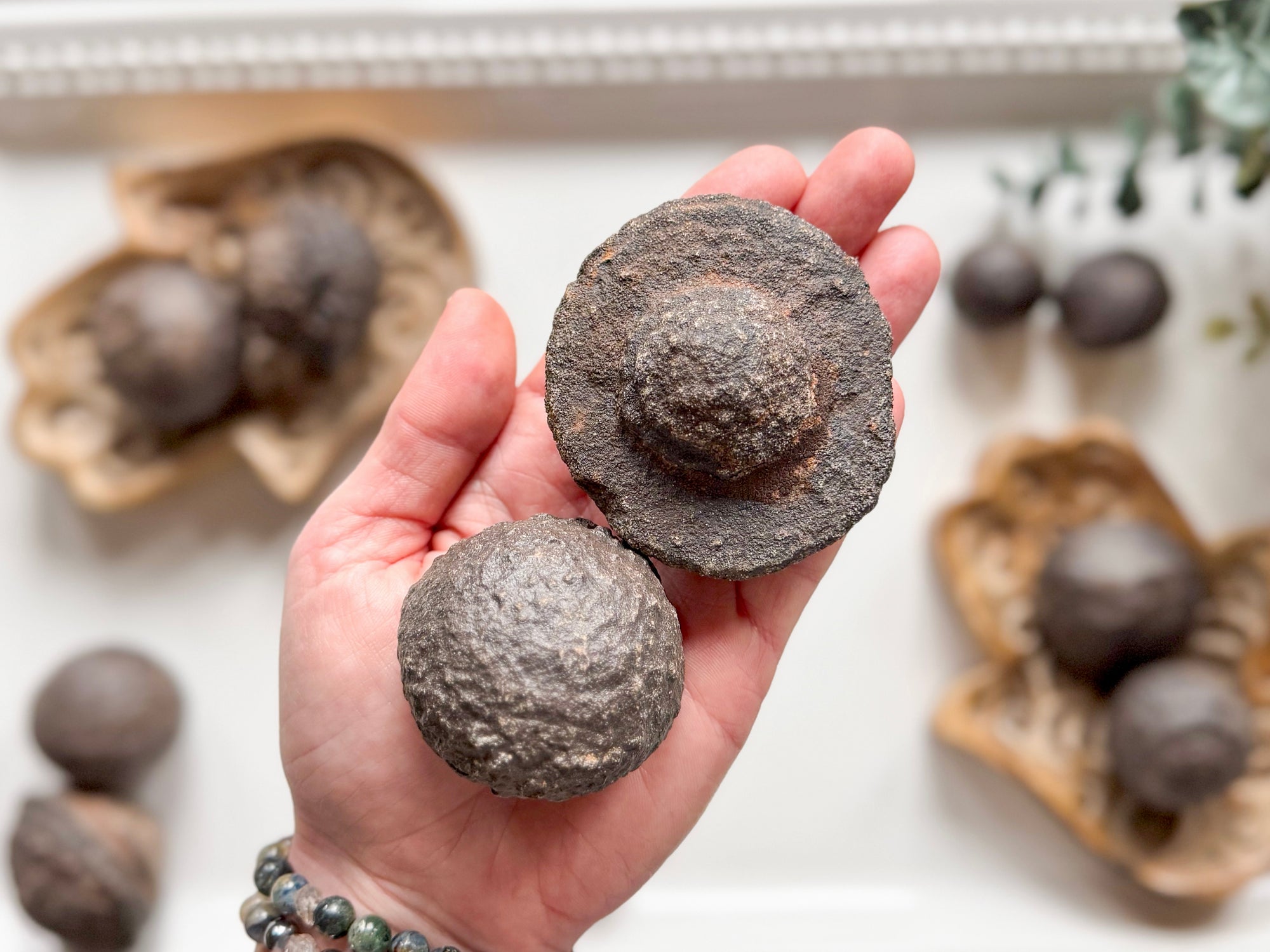 Moqui Ball Pair