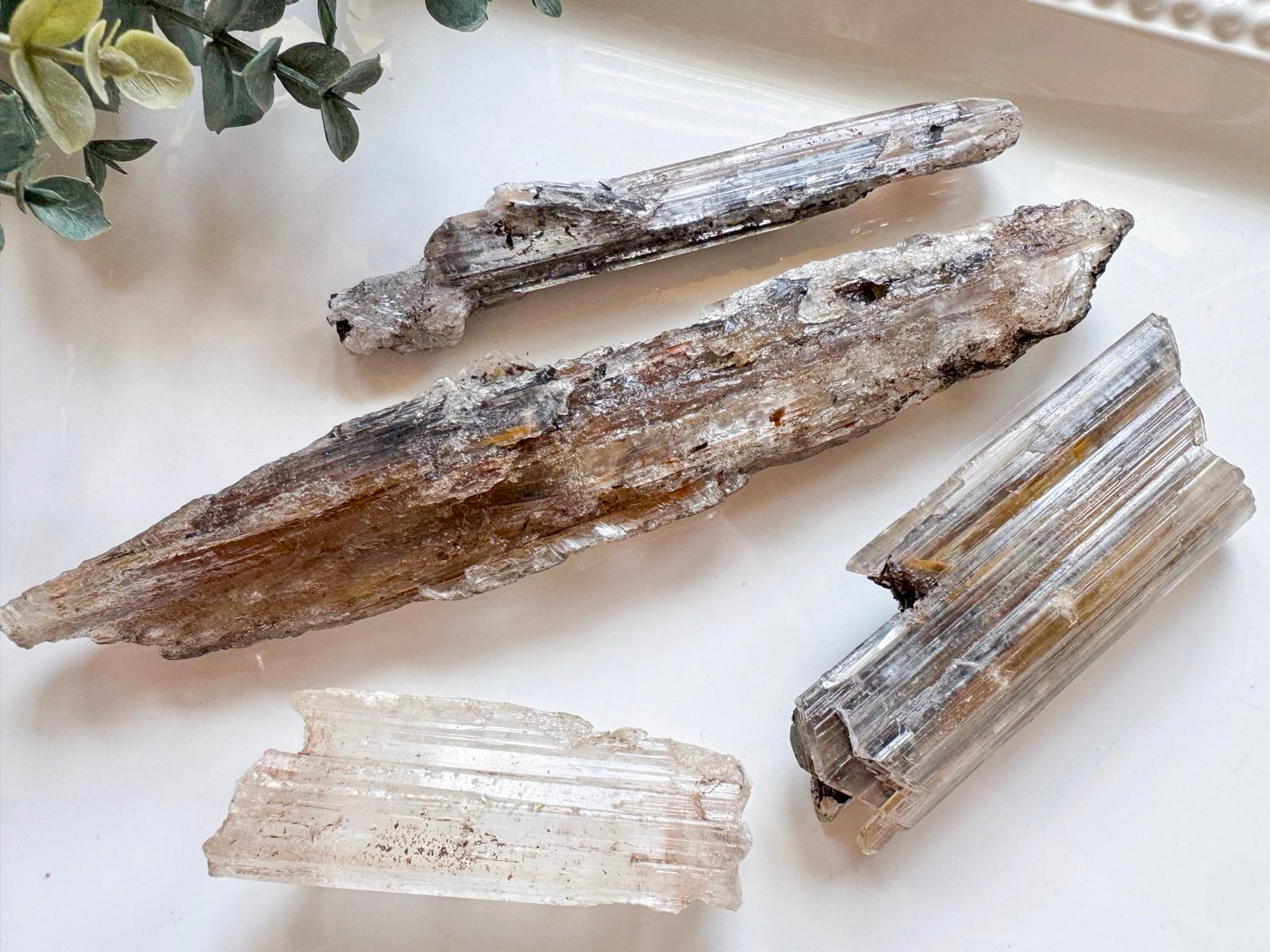 Naica Selenite Sticks with Inclusions || Naica Mine Chihuahua, Mexico