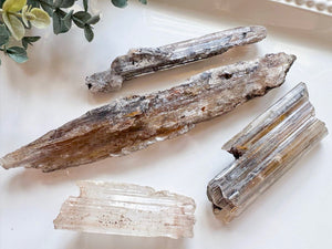 Naica Selenite Sticks with Inclusions || Naica Mine Chihuahua, Mexico