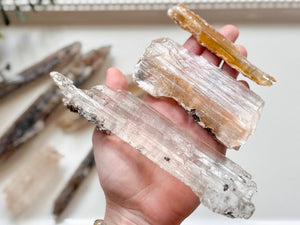 Naica Selenite Sticks with Inclusions || Naica Mine Chihuahua, Mexico