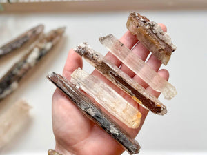 Naica Selenite Sticks with Inclusions || Naica Mine Chihuahua, Mexico