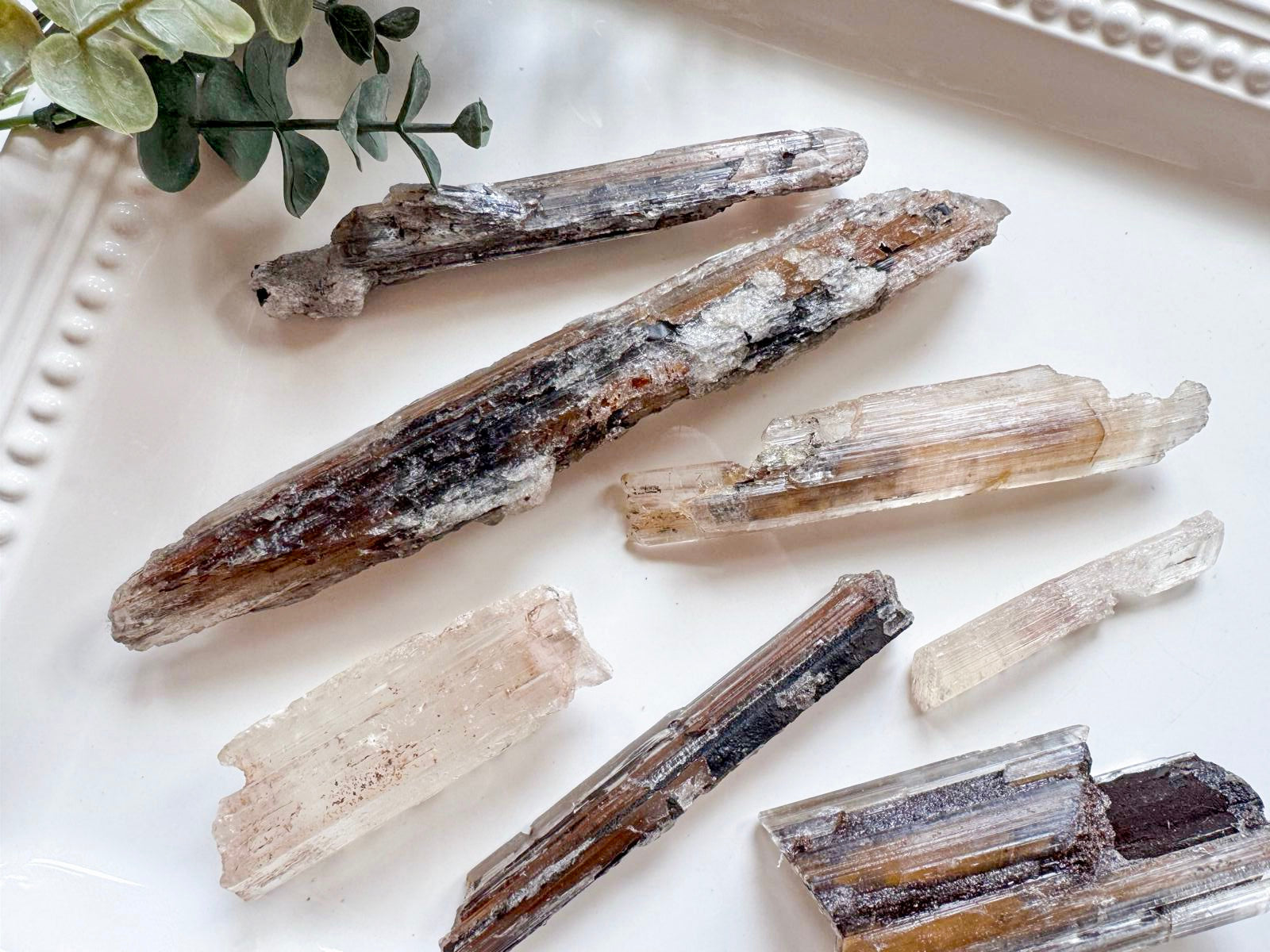 Naica Selenite Sticks with Inclusions || Naica Mine Chihuahua, Mexico