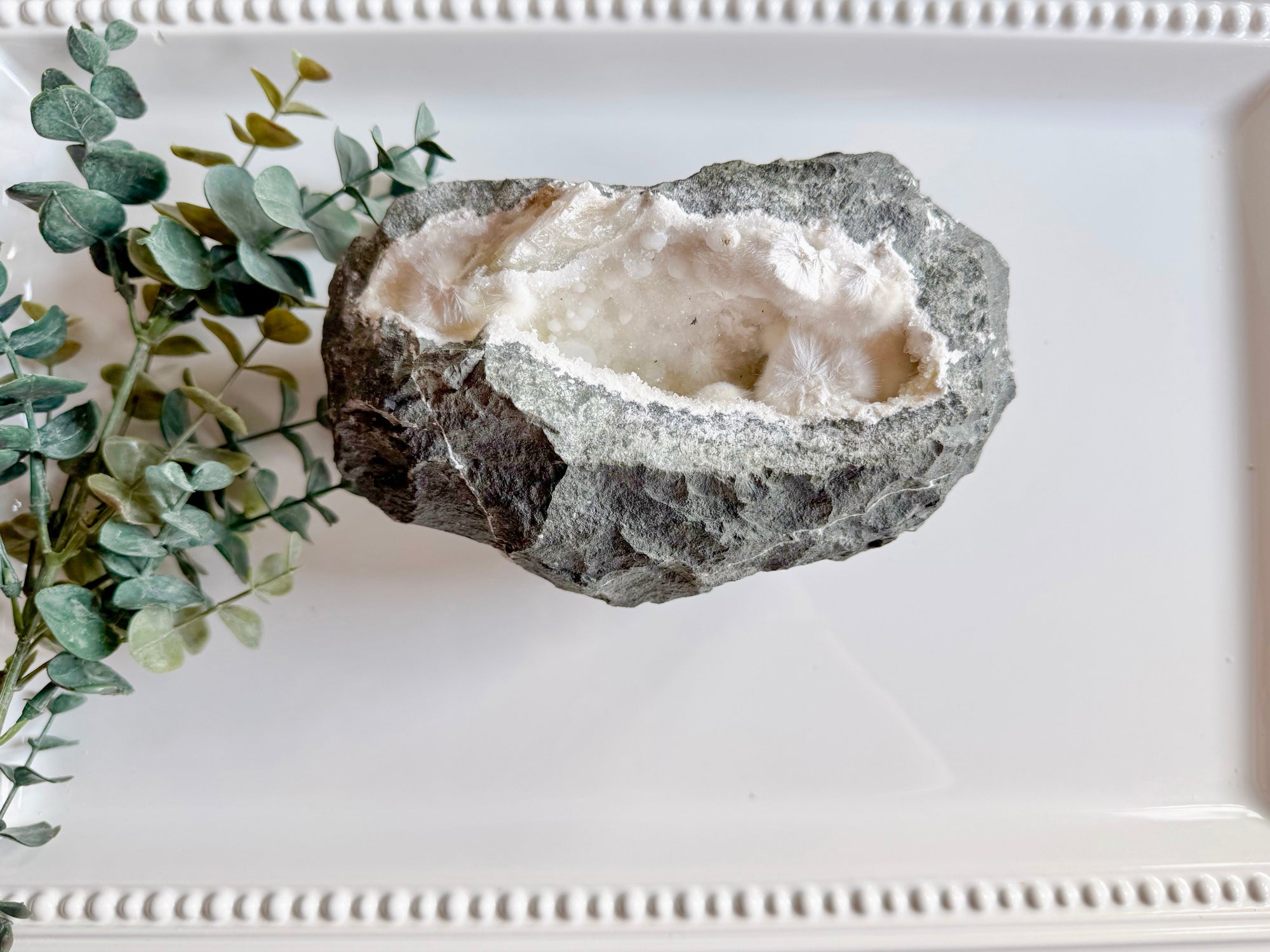 Okenite || Collector's Piece