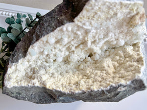 Okenite || Collector's Piece