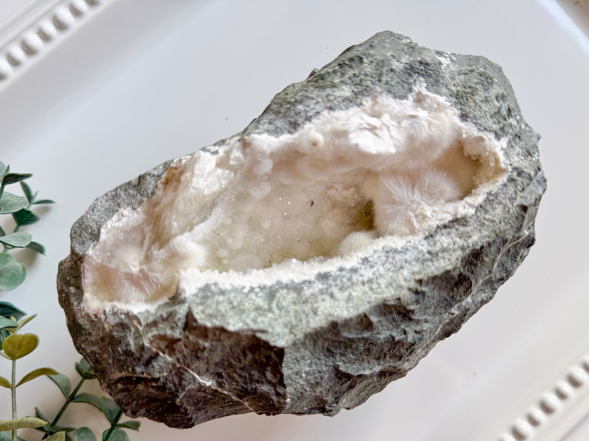 Okenite || Collector's Piece