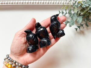 Onyx Raven Crystal Carving || 2"