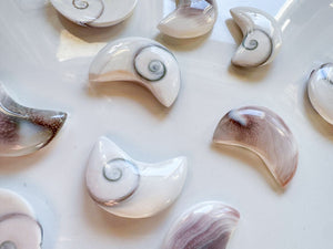 Operculum Shell Mini Moon Carving
