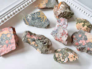 Orbicular Ocean Jasper Raw Stone