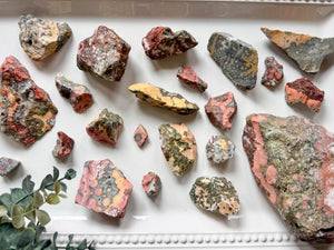 Orbicular Ocean Jasper Raw Stone
