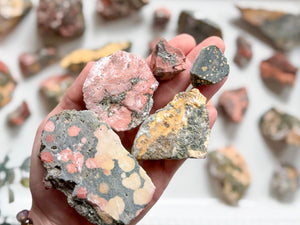 Orbicular Ocean Jasper Raw Stone
