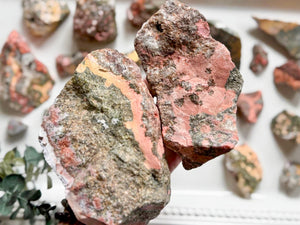 Orbicular Ocean Jasper Raw Stone