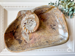 Orthoceras Free Form Bowl || Large