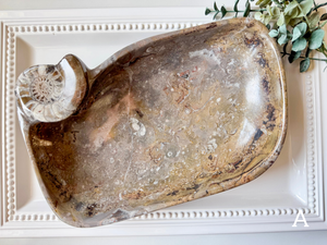 Orthoceras Free Form Bowl || Large