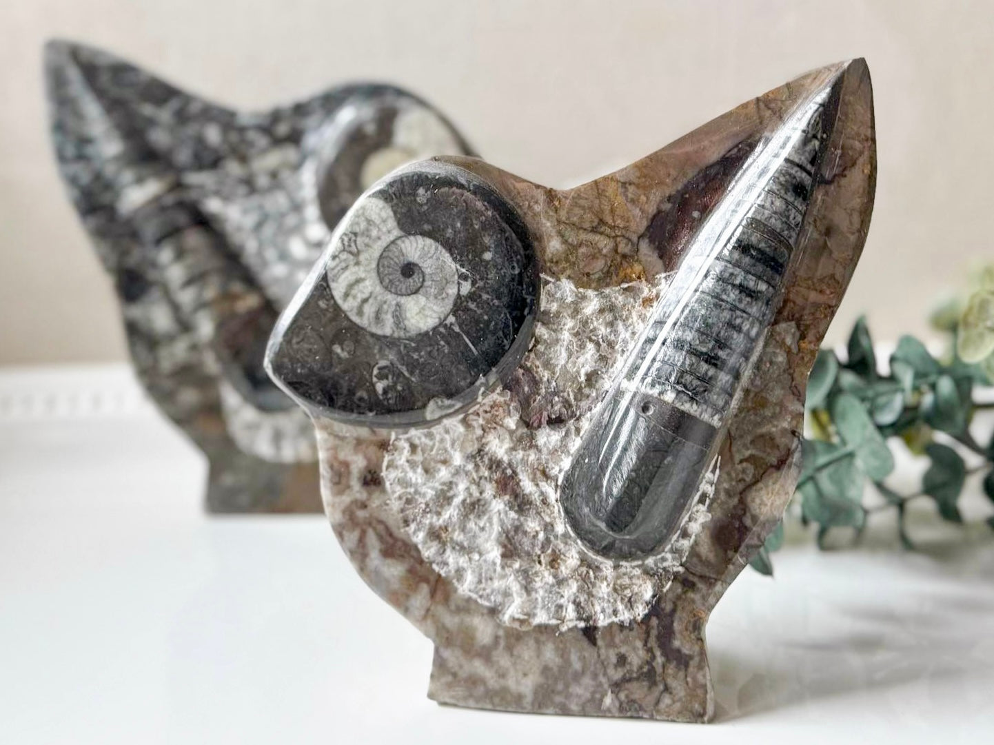 Orthoceras Free Form Statue
