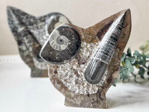 Orthoceras Free Form Statue
