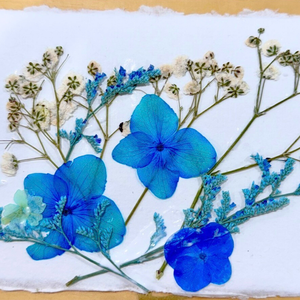 Oshibana Botanical Art Workshop - Wednesday, April 1 6pm-7:15pm