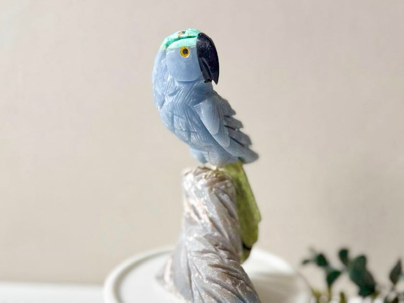 Parrot on Crystal Log Base || Peru