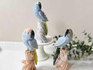 Parrot on Crystal Log Base || Peru