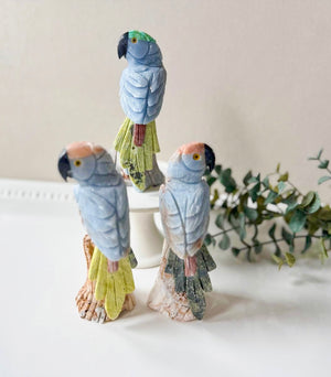 Parrot on Crystal Log Base || Peru