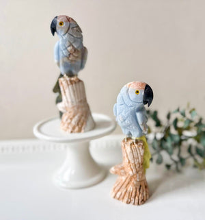 Parrot on Crystal Log Base || Peru