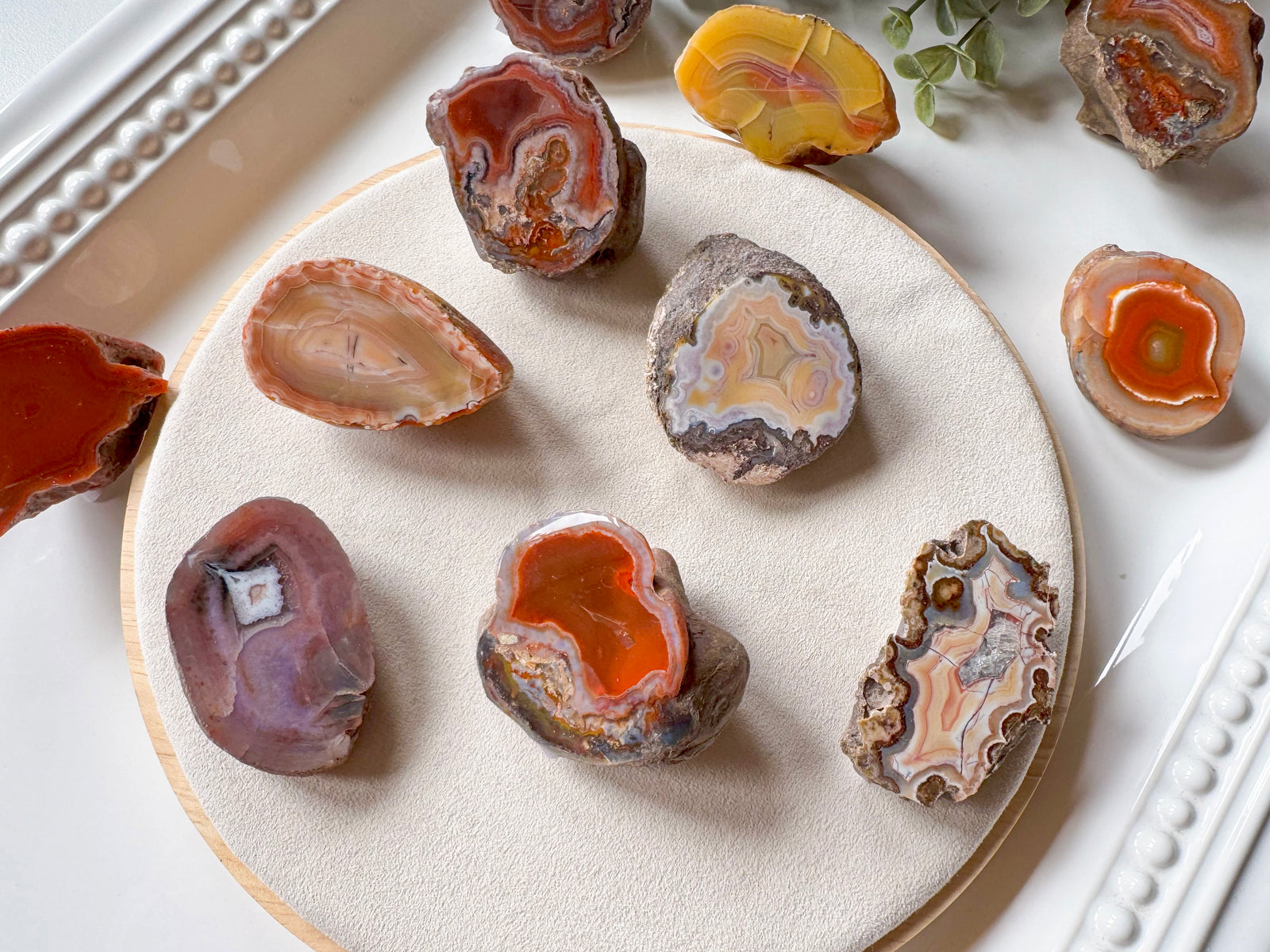 Patagonia Agate || Vintage Chuck" || Los Altares Chubut, Patagonia, Argentina