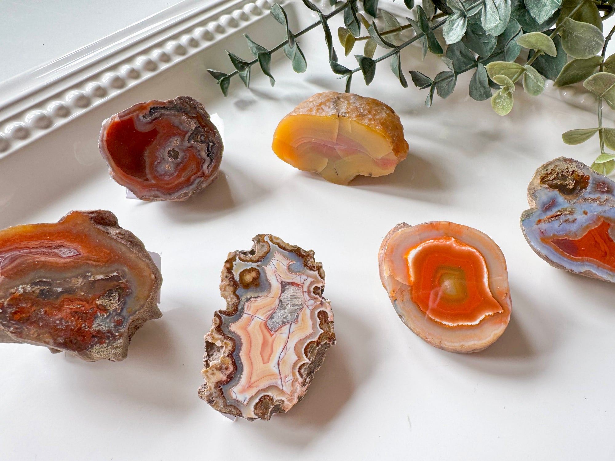 Patagonia Agate || Vintage Chuck" || Los Altares Chubut, Patagonia, Argentina