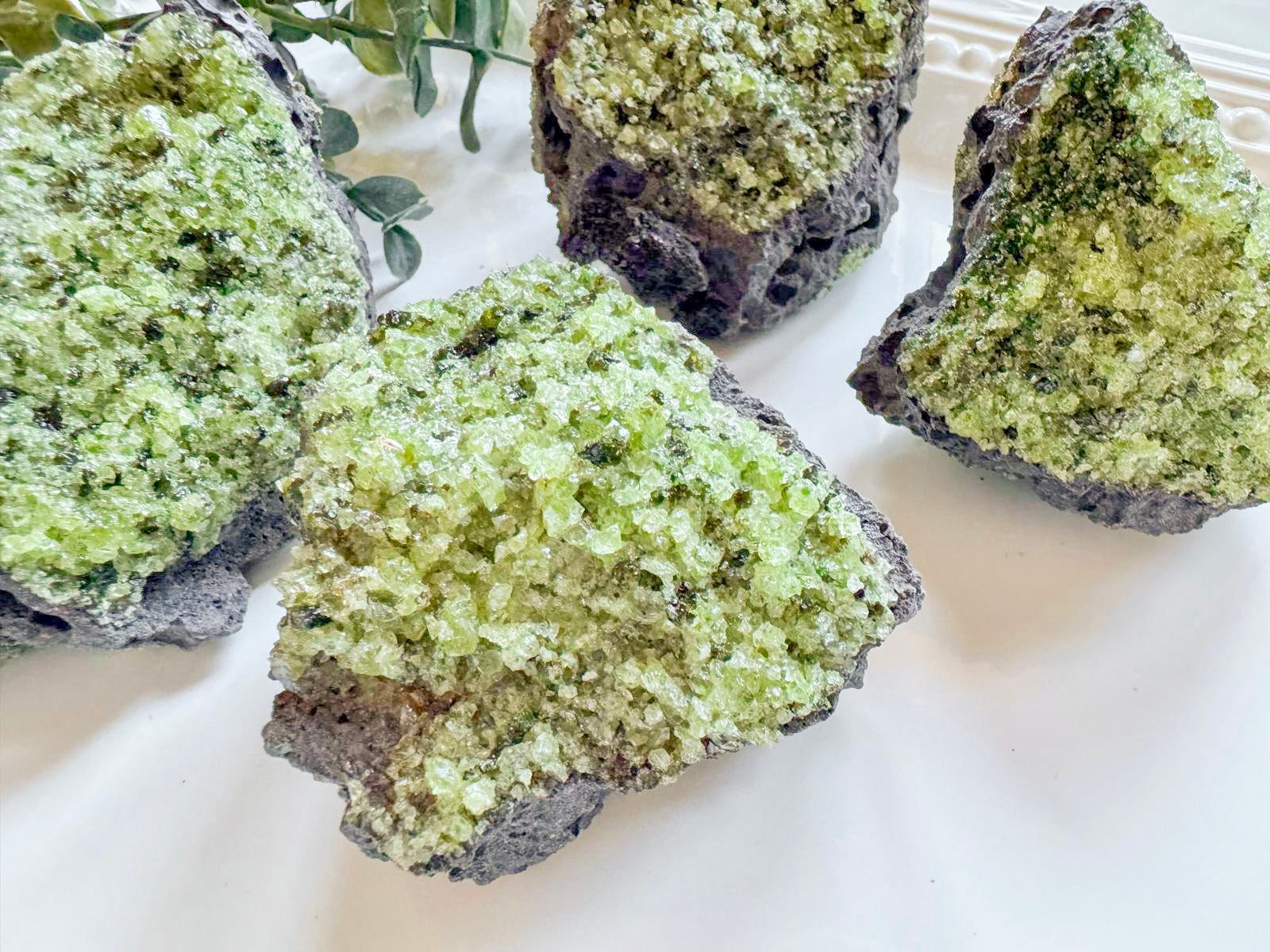 Peridot with Chrome Diopside and Spinel || Apache Reservation - San Carlos, Arizona