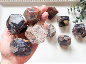 Petrified Fluorite Root Faceted Freeform