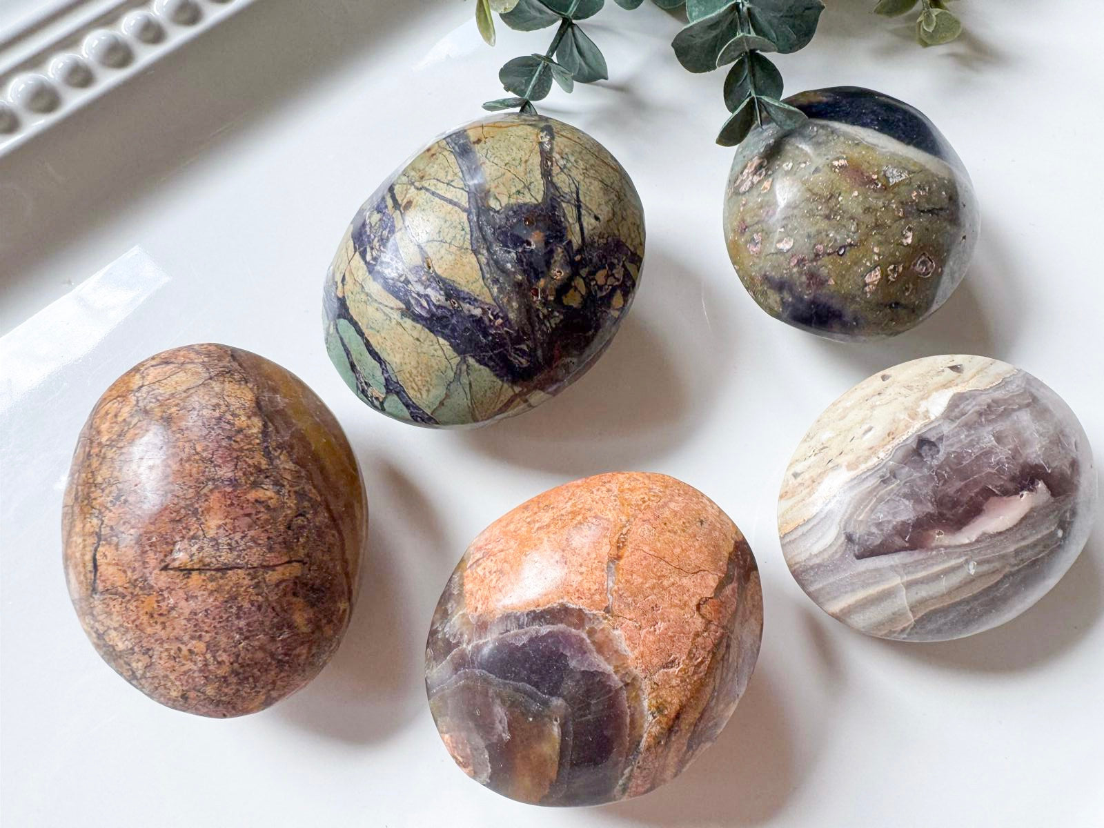 Petrified Fluorite Root Palm Stone