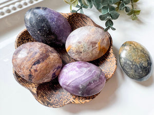 Petrified Fluorite Root Palm Stone
