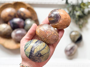 Petrified Fluorite Root Palm Stone