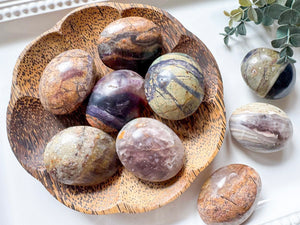 Petrified Fluorite Root Palm Stone