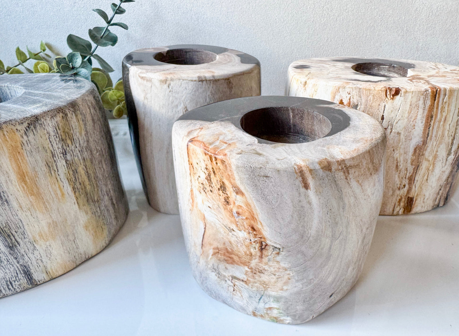 Petrified Wood Candle Holder || Indonesia