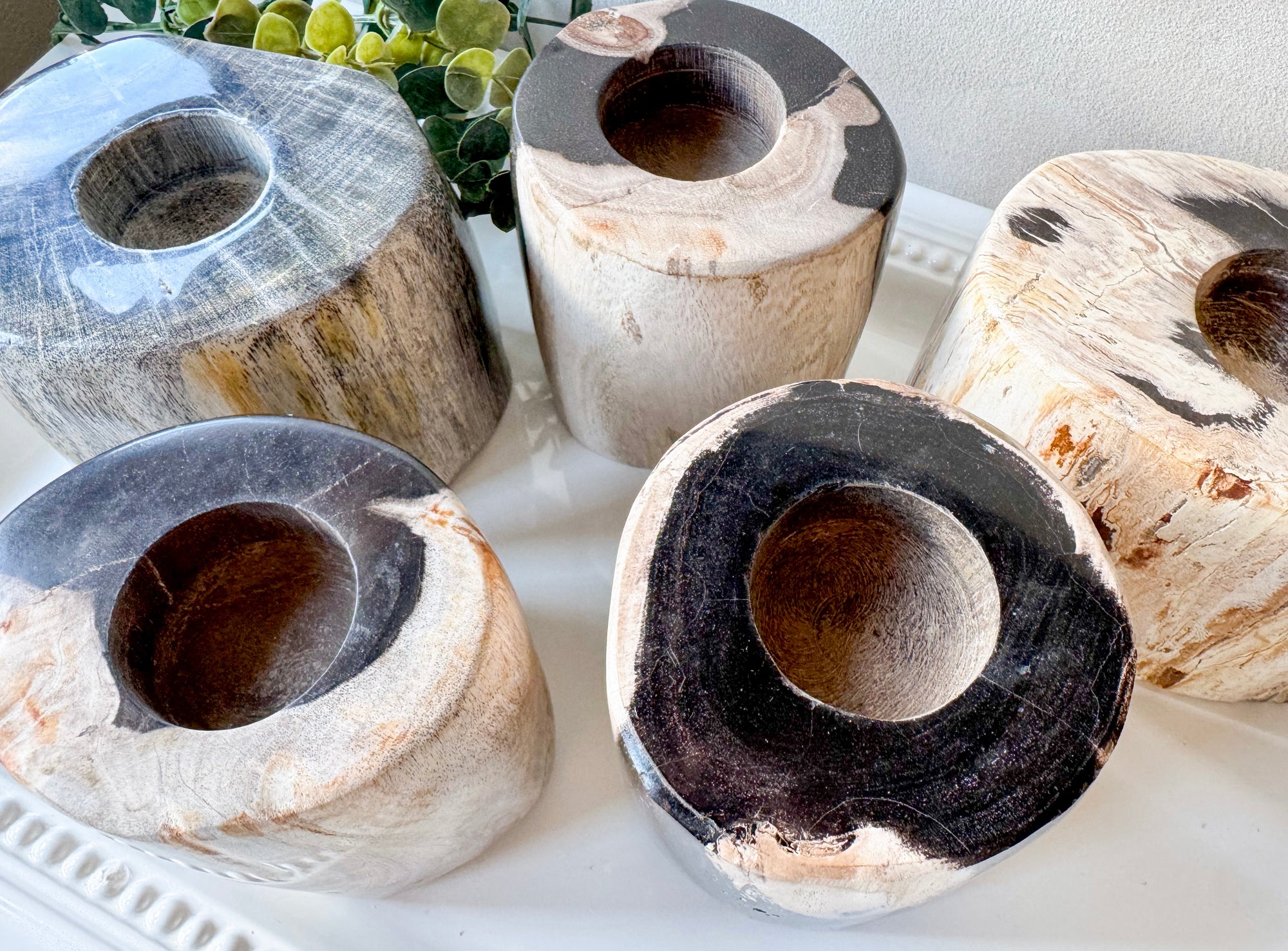 Petrified Wood Candle Holder || Indonesia