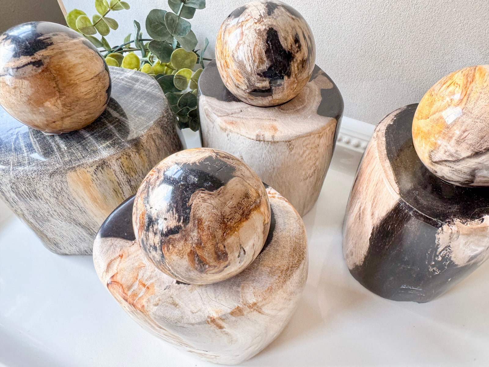 Petrified Wood Candle Holder || Indonesia