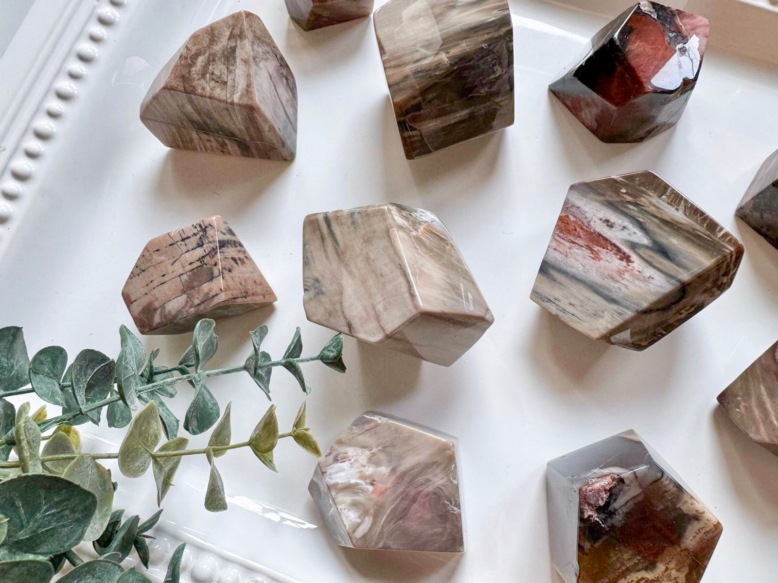 Petrified Wood Faceted Free Form