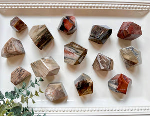 Petrified Wood Faceted Free Form