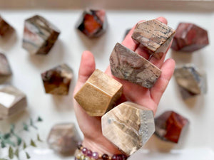 Petrified Wood Faceted Free Form
