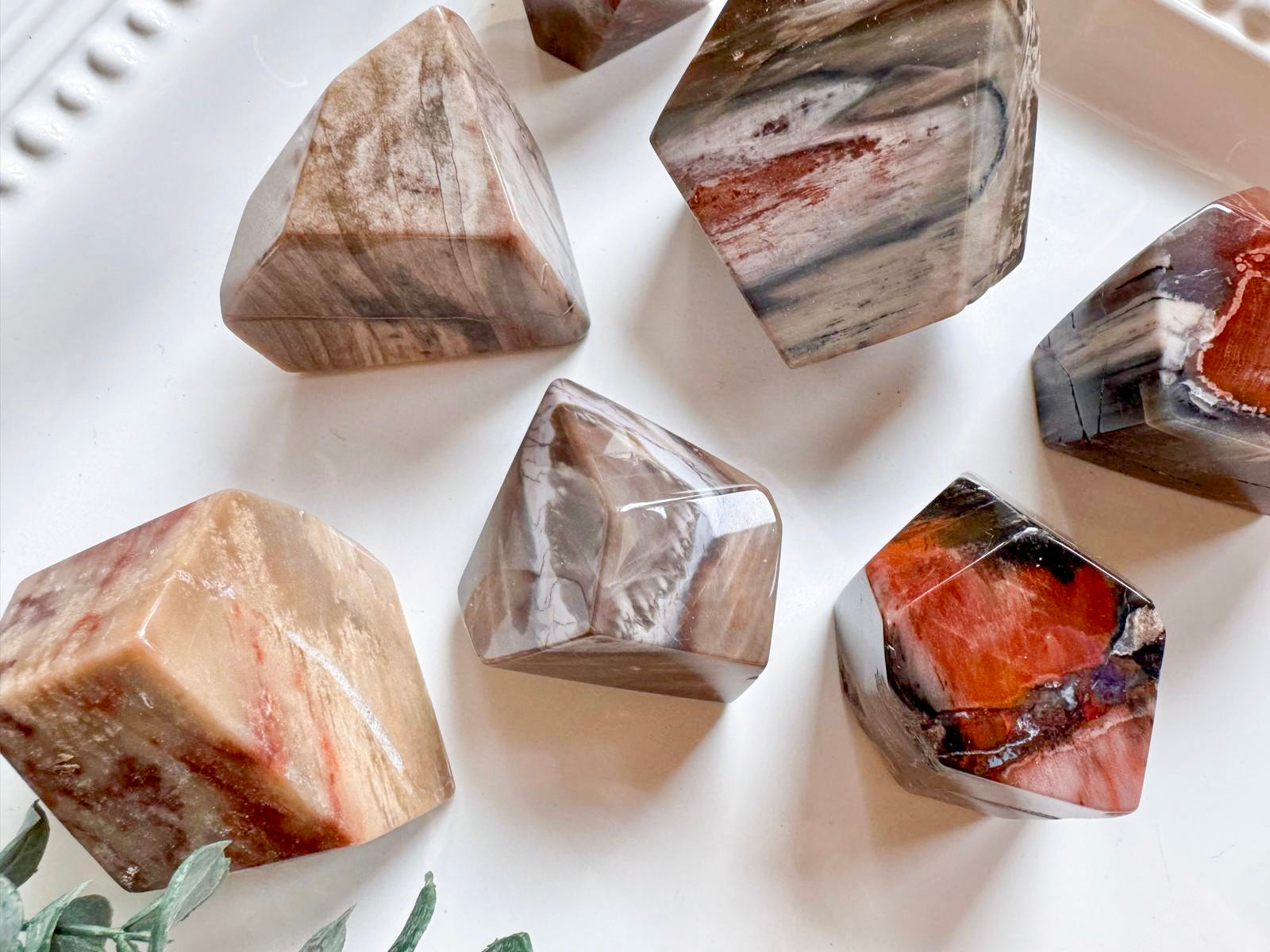 Petrified Wood Faceted Free Form