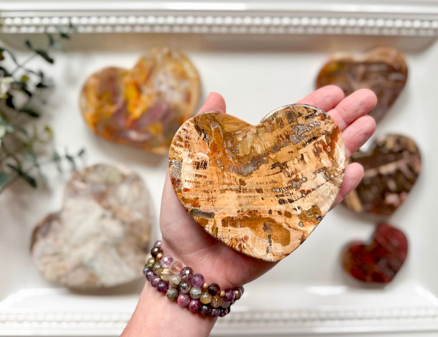Petrified Wood Flat Heart