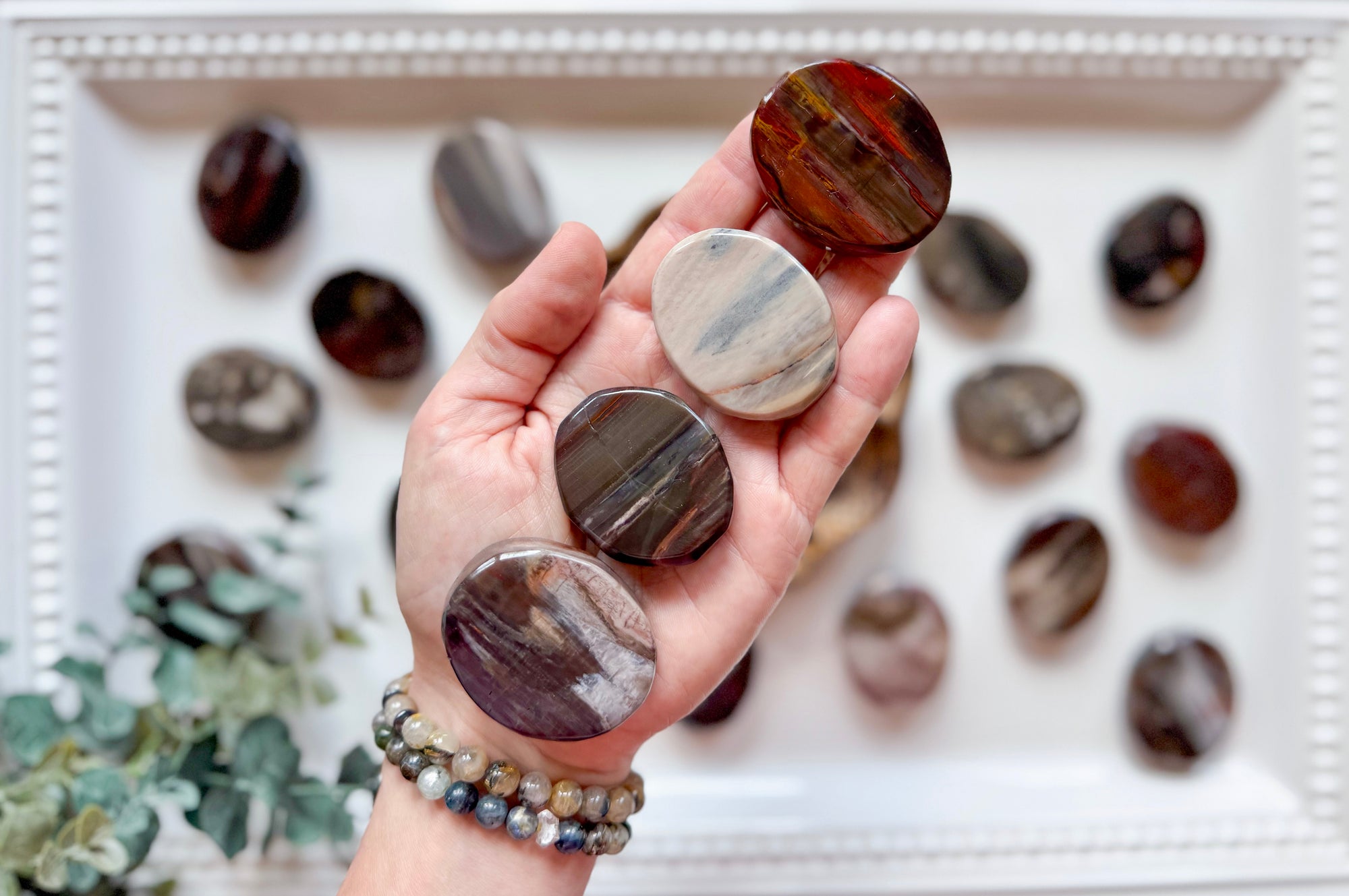 Petrified Wood Flat Palm Stone
